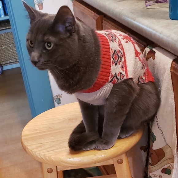 Meet your Posher, Angela - Picture 9 of 16